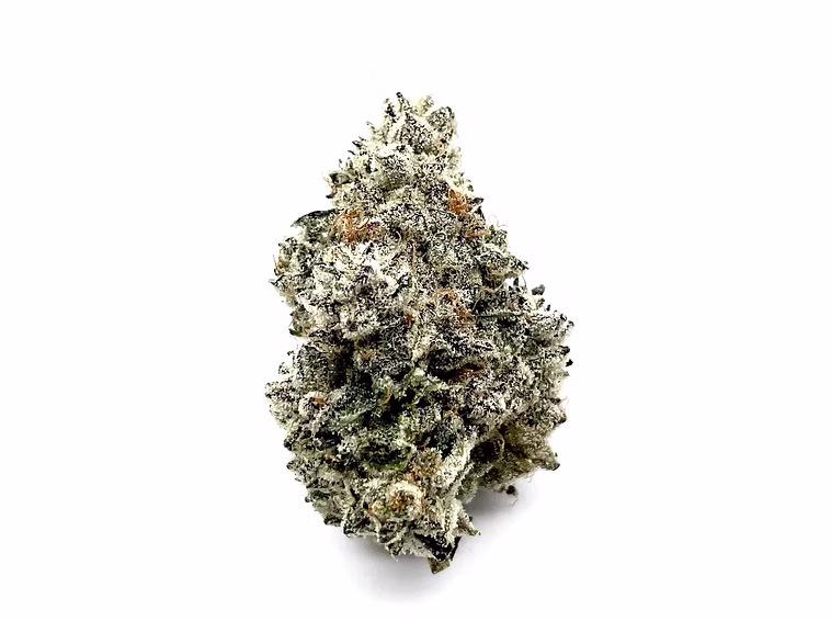 This image has an empty alt attribute; its file name is Manila-White-Background_edited_edited_jp.avif